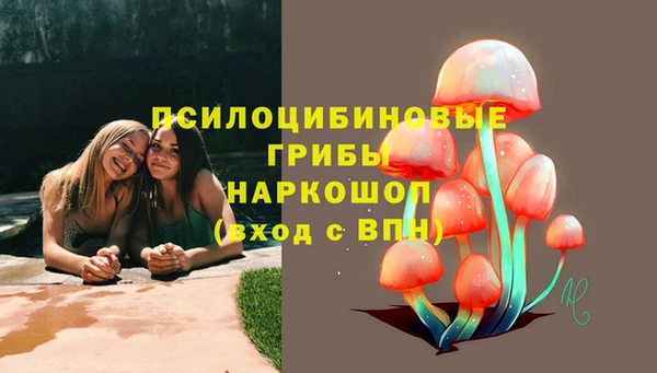 соль ск Абдулино