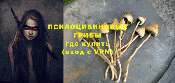 соль курить ск Алексеевка