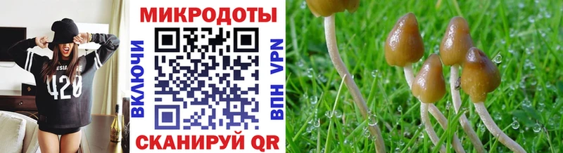 дарнет шоп  Арсеньев  мориарти телеграм  Галлюциногенные грибы прущие грибы 