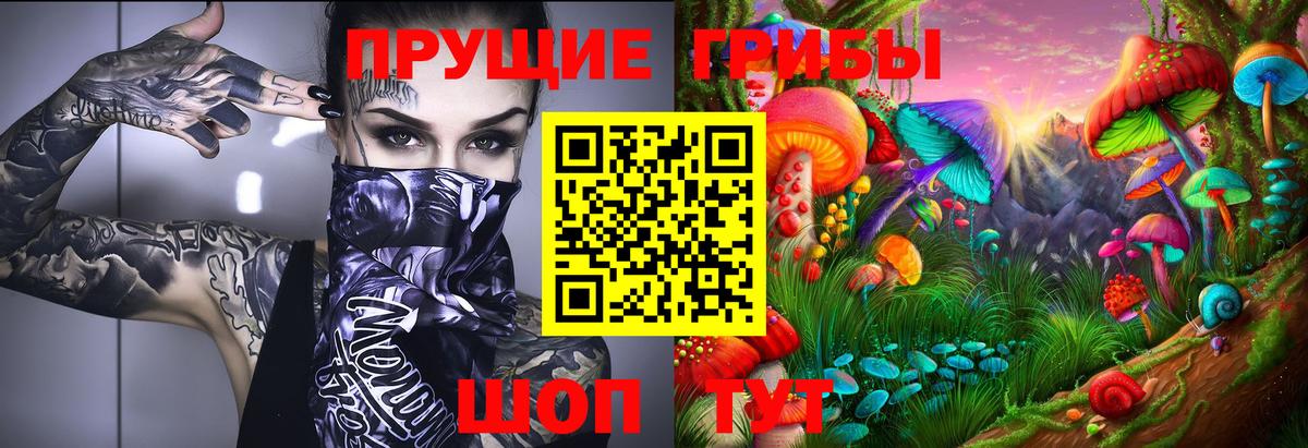 Галлюциногенные грибы прущие грибы  Вход с VPN  Арсеньев  Галлюциногенные грибы GOLDEN TEACHER 